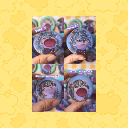 Honkai Star Rail Lenticular Pins ( HSR ) Pop cat meme badge